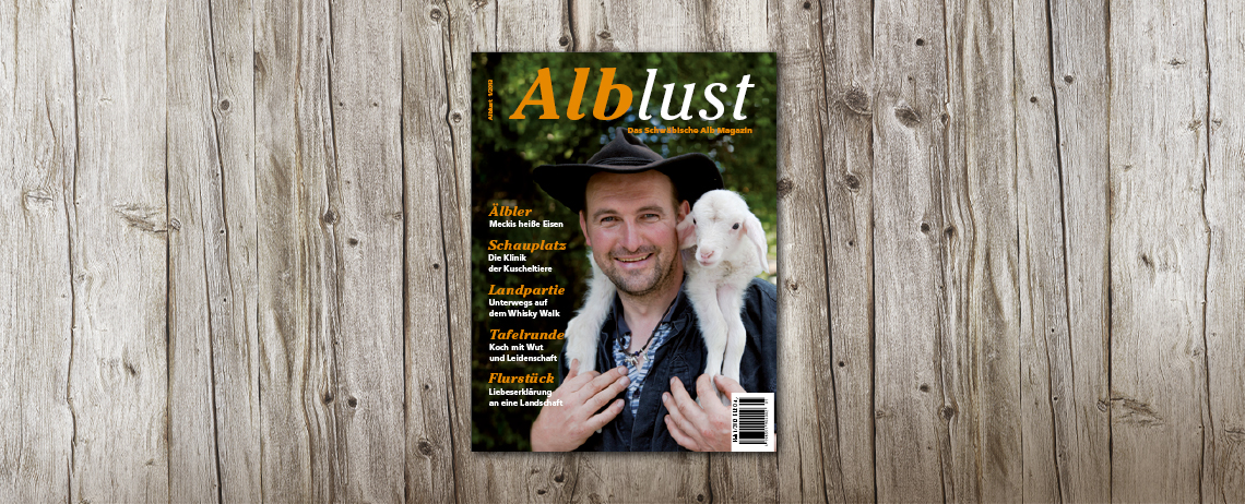 Ausgabe 1-2013