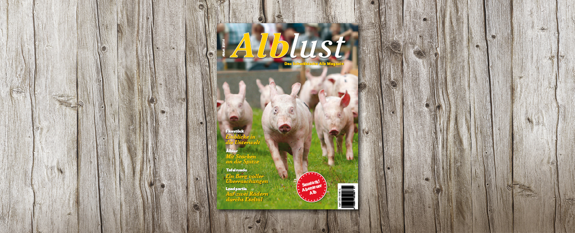 Ausgabe 2-2014