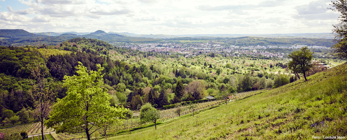 Alblust Wanderung Arboretum- und Vulkantour