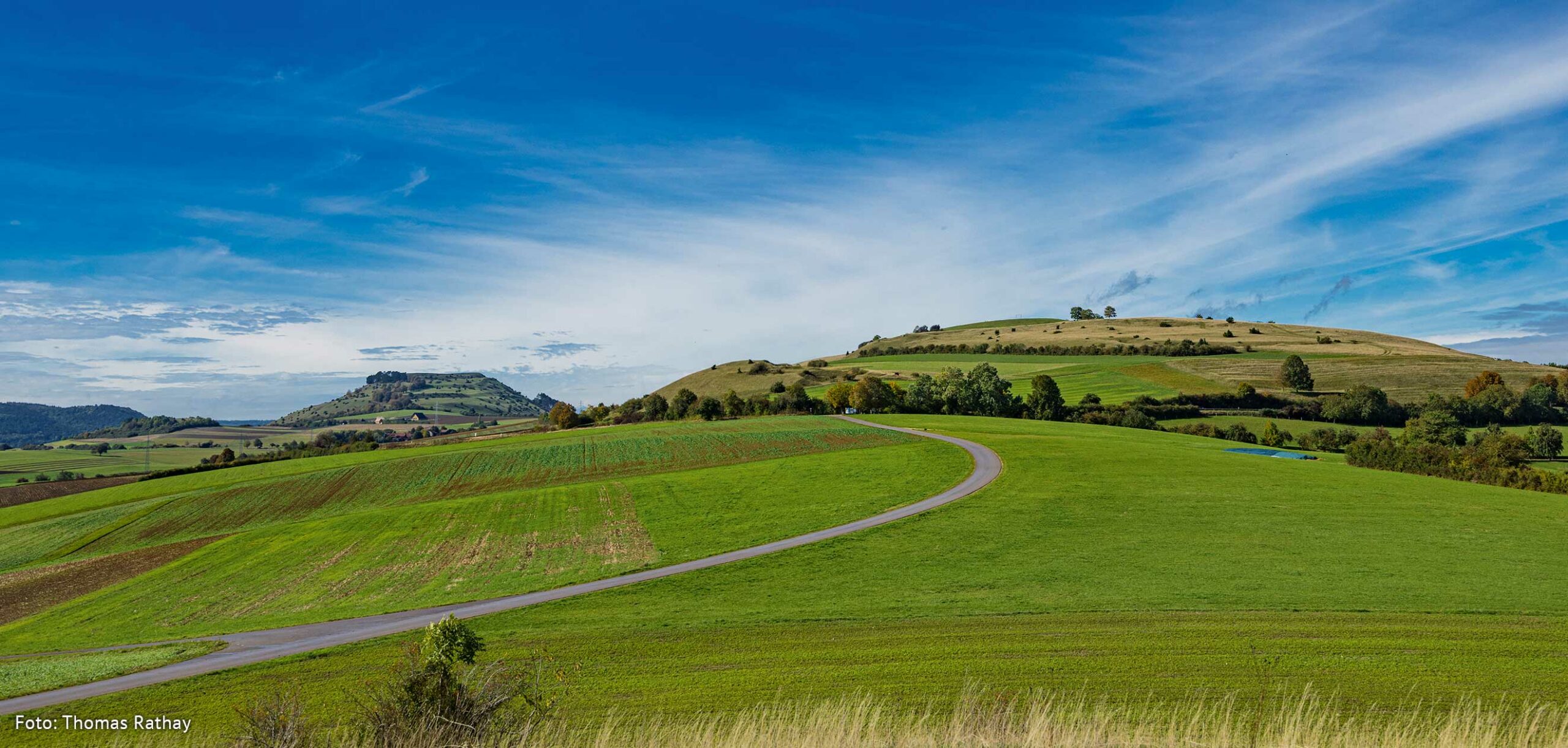 Titelbild Newsletter